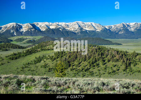 Il Centennial montagne sopra il red rock Lakes National Wildlife Refuge vicino a lakeview, montana Foto Stock