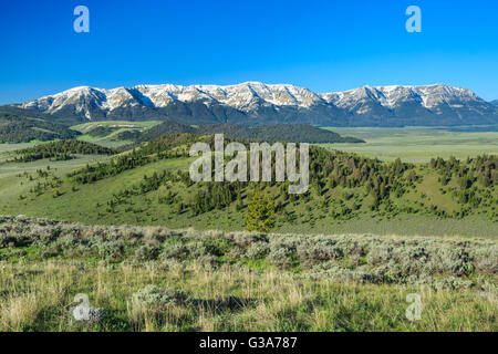 Il Centennial montagne sopra il red rock Lakes National Wildlife Refuge vicino a lakeview, montana Foto Stock