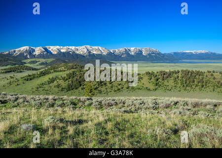 Il Centennial montagne sopra il red rock Lakes National Wildlife Refuge vicino a lakeview, montana Foto Stock