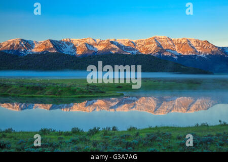 La nebbia che salgono dal laghetto di culver sotto il Centennial Mountains al Red Rock Lakes National Wildlife Refuge vicino a lakeview, montana Foto Stock