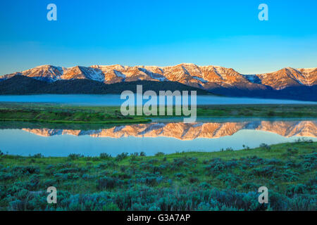 La nebbia che salgono dal laghetto di culver sotto il Centennial Mountains al Red Rock Lakes National Wildlife Refuge vicino a lakeview, montana Foto Stock