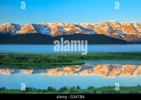 La nebbia che salgono dal laghetto di culver sotto il Centennial Mountains al Red Rock Lakes National Wildlife Refuge vicino a lakeview, montana Foto Stock