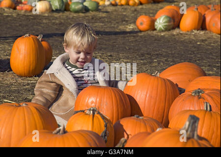 Ragazzo seduto da un gruppo di zucche per la vendita in un orto di zucche nei pressi di Half Moon Bay, CALIFORNIA, STATI UNITI D'AMERICA Foto Stock