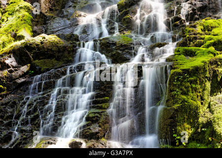 Cascate 41,794.08035 acqua a cascata verso il basso un muschio verde a scaletta come roccia Foto Stock