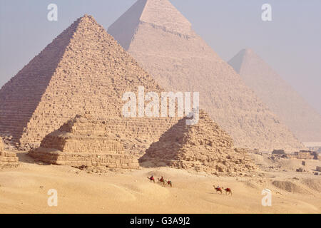 Cammelli davanti alle Piramidi di Giza (piramidi regine, piramide di Menkaure, piramide di Khafre, piramide di Cheope), Egitto Foto Stock