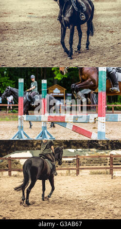 Collage fatto da foto di competizioni equestri Foto Stock