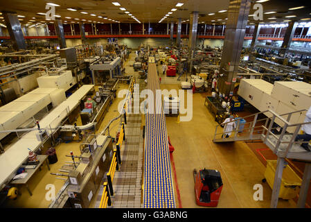 All'interno del Premier Foods factory, Carlton, Barnsley, South Yorkshire, Regno Unito. Foto Stock