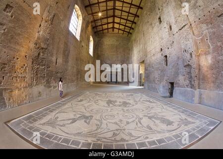 Hercules mosaico, Terme di Diocleziano e il Museo Nazionale di Roma, Italia Foto Stock