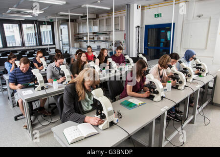 Gli studenti di un corso di microscopia presso l'università a causa Foto Stock