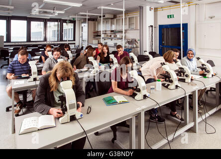 Gli studenti di un corso di microscopia presso l'università a causa Foto Stock