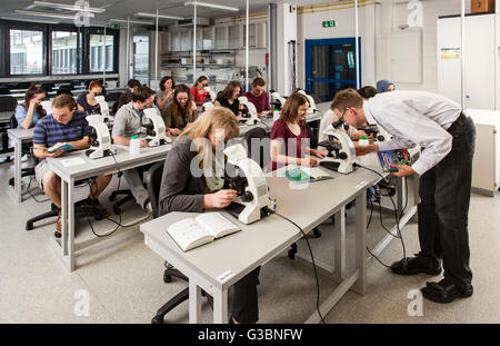 Gli studenti di un corso di microscopia presso l'università a causa Foto Stock