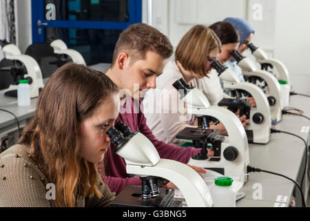 Gli studenti di un corso di microscopia presso l'università a causa Foto Stock