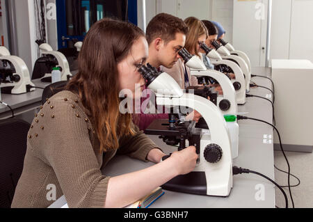 Gli studenti di un corso di microscopia presso l'università a causa Foto Stock