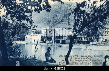 Grande ruota ad acqua ad Antioch (vicino Antakya), Turchia Foto Stock