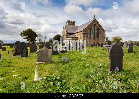 St Nidan la Chiesa, Brynsiencyn, Anglesey, Galles del nord Foto Stock