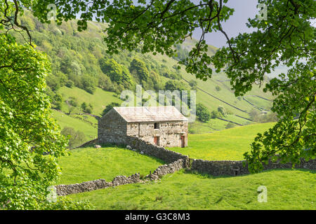 Dales granaio di Keld villaggio in Swaledale superiore, le valli dello Yorkshire, Inghilterra, Giugno 2016 Foto Stock