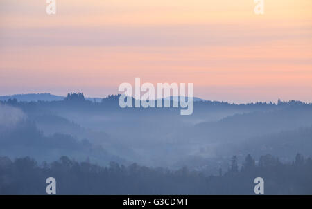 Nebbia all alba nei monti Bieszczady Foto Stock