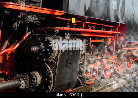 Brocken Railway, la stazione ferroviaria di Harz a scartamento ridotto delle ferrovie (HSB) nella stazione ferroviaria di Wernigerode, Wernigerode, Sassonia-Anhalt, Germania Foto Stock