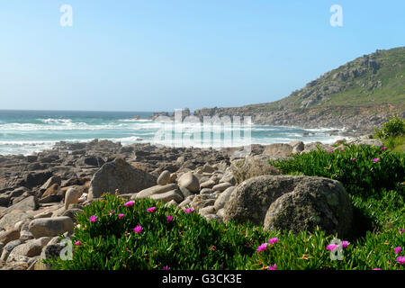 Il paesaggio costiero sul sud-ovest-percorso tra Land's End e San Giusto, Cornwall, Inghilterra meridionale, Gran Bretagna Foto Stock