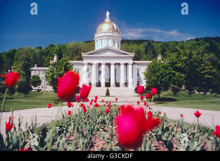 La capitale dello stato edificio; Montpelier; Vermont: STATI UNITI D'AMERICA Foto Stock