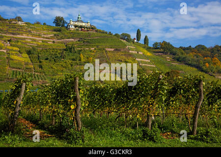 Il Spitzhaus nei vigneti in Radebeul vicino a Dresda, Foto Stock