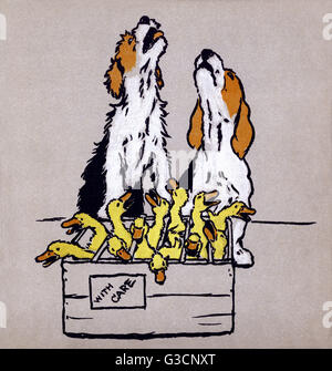 Illustrazione di Cecil Aldin, il Puppies del Farmyard Foto Stock