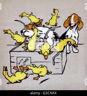 Illustrazione di Cecil Aldin, il Puppies del Farmyard Foto Stock