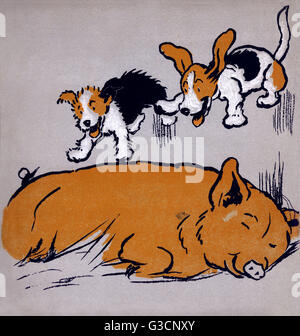 Illustrazione di Cecil Aldin, il Puppies del Farmyard Foto Stock