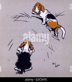 Illustrazione di Cecil Aldin, il Puppies del Farmyard Foto Stock