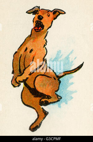 Illustrazione di Cecil Aldin, Storie di Puppyland Foto Stock