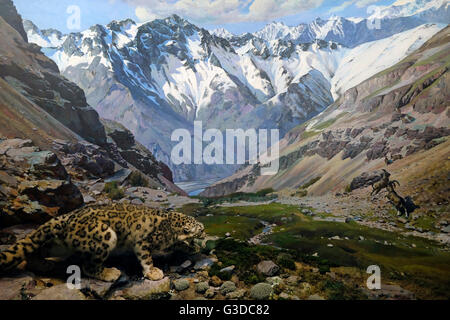 Farcite diorama della fauna selvatica all'interno del Museo Nazionale di Storia Naturale nel centro di Kiev Ucraina Foto Stock