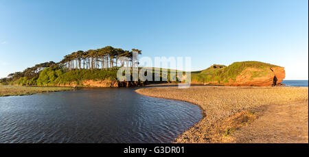 La bocca della Lontra di fiume e la lontra di testa, vicino a Budleigh Salterton, Devon, Regno Unito. Il piccolo stand di alberi sono pino silvestre. Foto Stock