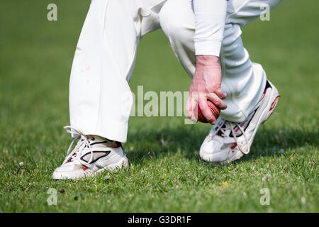 Witchampton CC 1XI versus Marnhull CC 1XI , Witchampton fielder in azione. Foto Stock