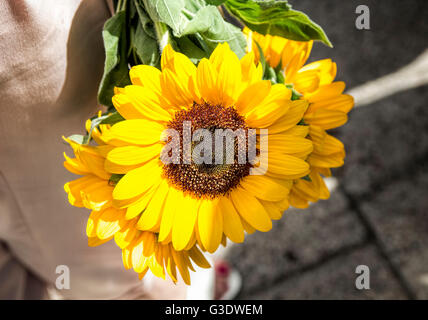 Un mazzetto di girasoli Foto Stock