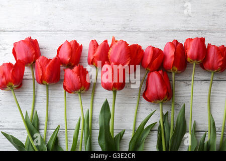 Tulipani rossi su sfondo bianco sullo sfondo di legno, fiori Foto Stock