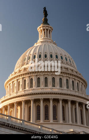 Il Campidoglio degli Stati Uniti, il luogo d'incontro del Senato e della Camera dei rappresentanti, situato in cima a Capitol Hill, Washington DC Foto Stock