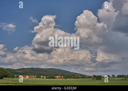 Blu cielo nuvoloso su germinando campi di grano Bassa Slesia Polonia Foto Stock