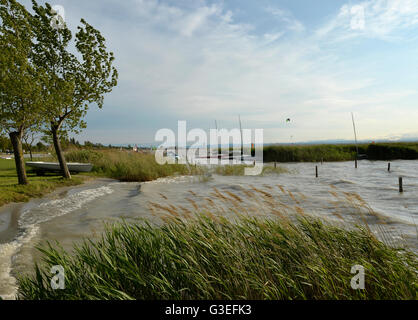 Podersdorf am See, Neusiedlersee, Burgenland, Austria Foto Stock