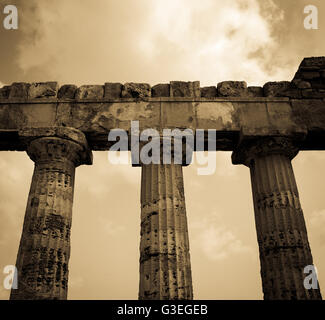 Templi di Selinunte, Sicilia Foto Stock