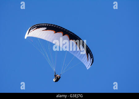 Parapendio, Austria, Niederösterreich, Bassa Austria, Wiener Alpen, Naturpark Hohe Wand Foto Stock