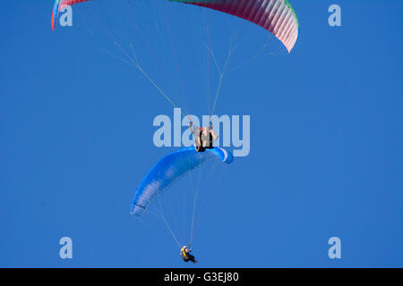 Parapendio, Austria, Niederösterreich, Bassa Austria, Wiener Alpen, Naturpark Hohe Wand Foto Stock