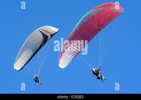 Parapendio, Austria, Niederösterreich, Bassa Austria, Wiener Alpen, Naturpark Hohe Wand Foto Stock