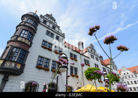 Town Hall, Germania, Sassonia, Sassonia, , Torgau Foto Stock