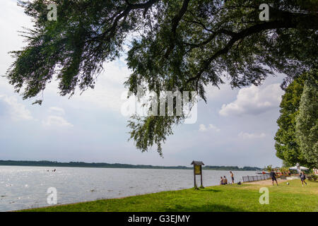 Grande stagno, Germania, Sassonia, Sassonia, , Torgau Foto Stock