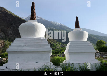 Gli stupa, o chortens, a Jispa, Manali - Leh Road, Himachal Pradesh, India, Foto Stock