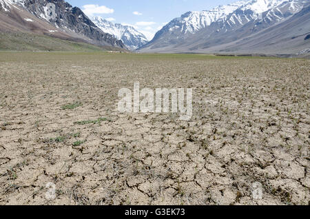 Pascolo secco, Sarchu, Manali - Leh Road, Himachal Pradesh, India, Foto Stock