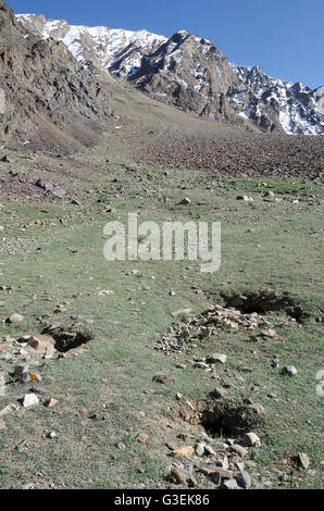 La marmotta himalayana fori sulla montagna, Sarchu, Manali - Leh Road, Himachal Pradesh, India, Foto Stock