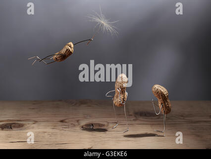 Cose semplici - Uomo di arachidi battenti con tarassaco Blowball ombrello Foto Stock