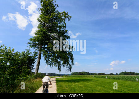 I ciclisti nel parco naturale delle foreste occidentali Augusta, in Germania, in Baviera, Baviera, Schwaben, Svevia, Altenmünster Foto Stock