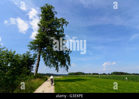 I ciclisti nel parco naturale delle foreste occidentali Augusta, in Germania, in Baviera, Baviera, Schwaben, Svevia, Altenmünster Foto Stock